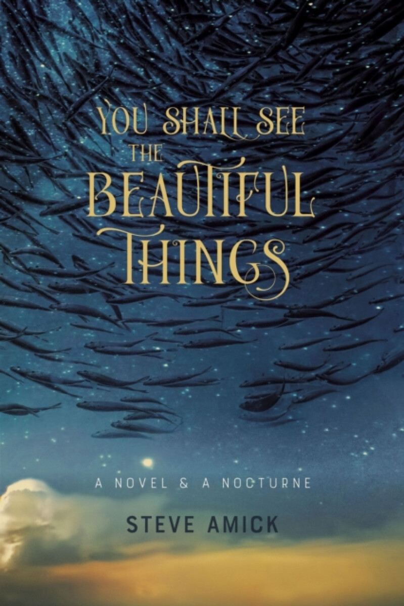 You Shall See the Beautiful Things â€“ A Novel & A Nocturne