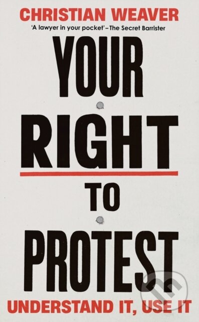 Your Right to Protest (Understand It, Use It)