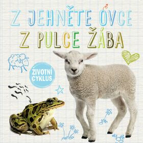 Z jehněte ovce, z pulce žába - Životní cyklus  Holly Duhig