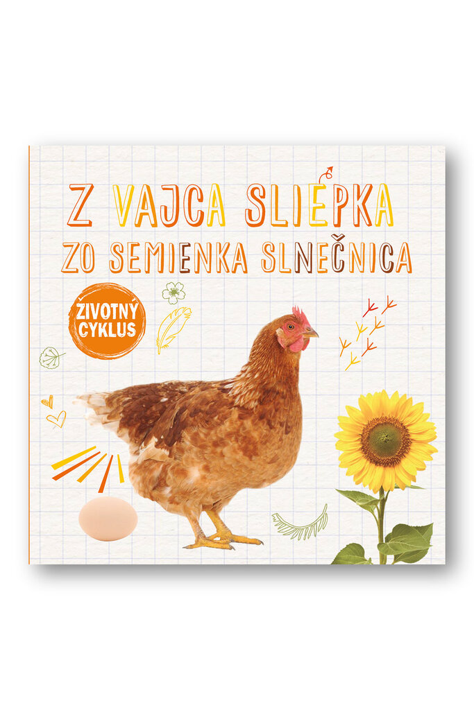 Z vajca sliepka Zo semienka slnečnica