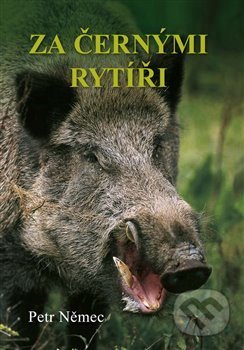 Za černými rytíři