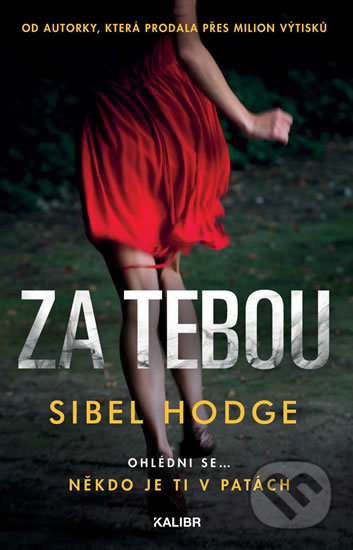 Za tebou (Ohlédni se... Někdo je ti v patách)