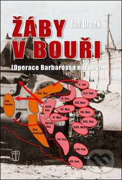 Žáby v bouři (Operace Barbarossa naruby)