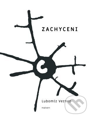 Zachycení