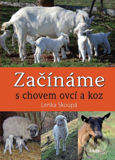 Začínáme s chovem ovcí a koz