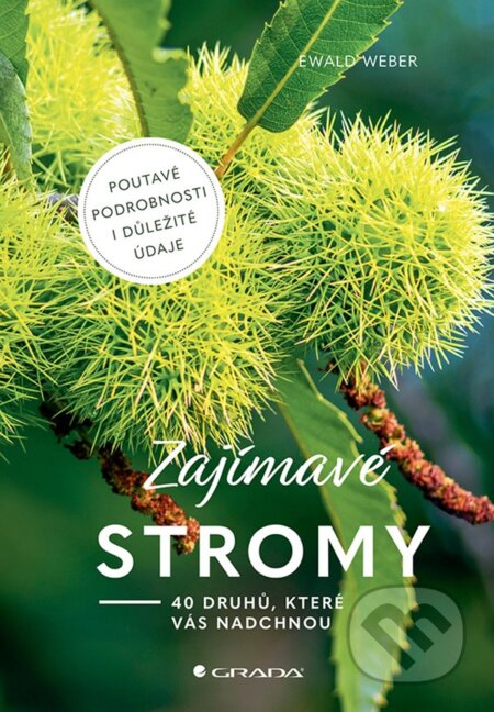 Zajímavé stromy (40 druhů, které vás nadchnou)
