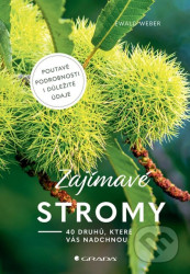 Zajímavé stromy (40 druhů, které vás nadchnou)