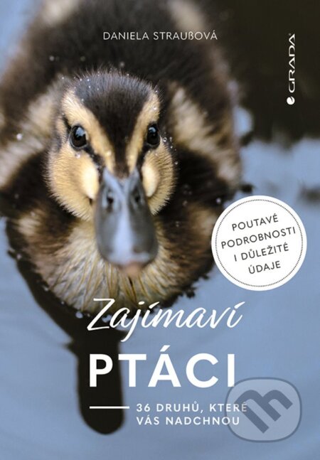 Zajímaví ptáci (36 druhů, které vás ohromí)