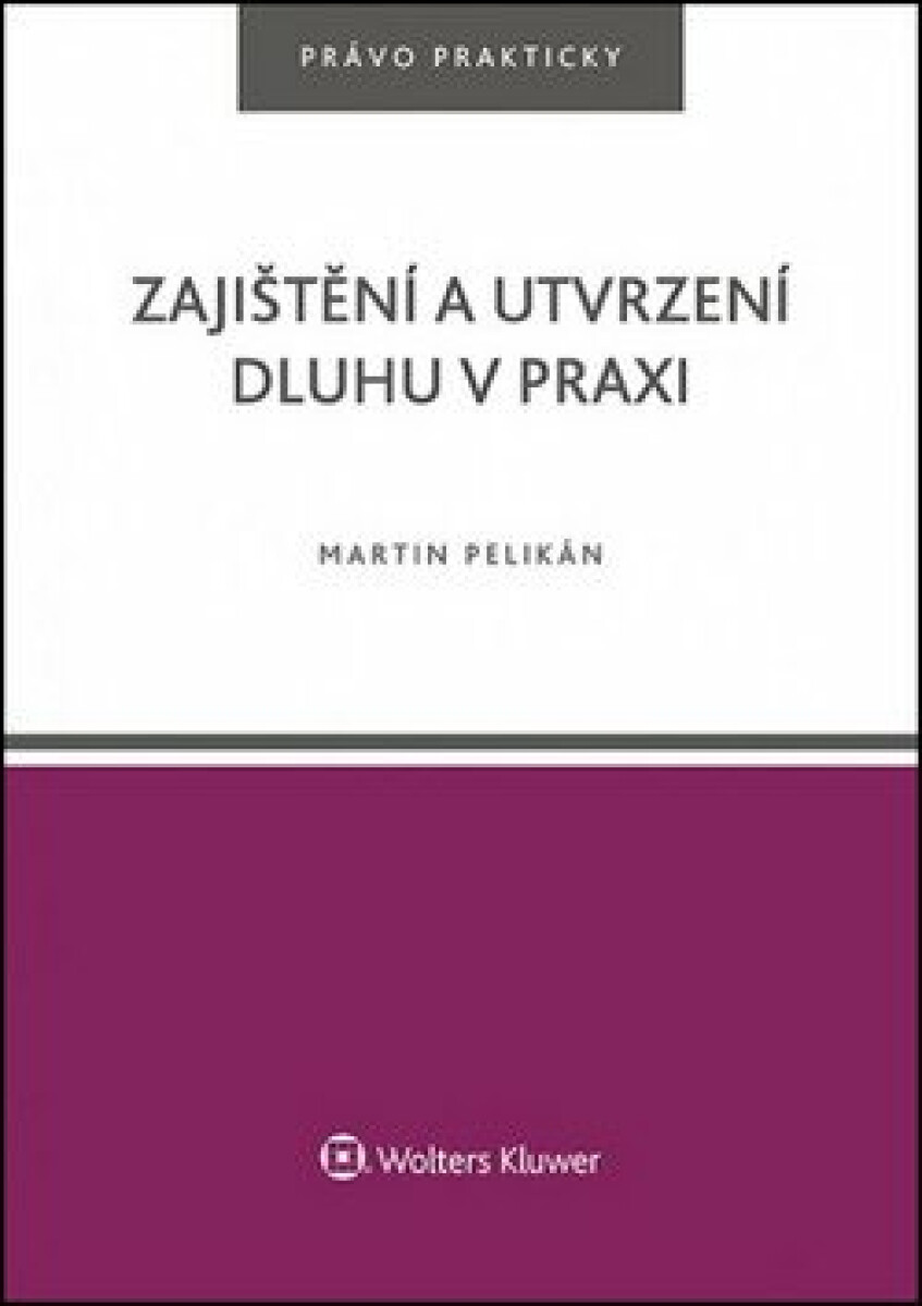 Zajištění a utvrzení dluhu v praxi - Martin Pelikán