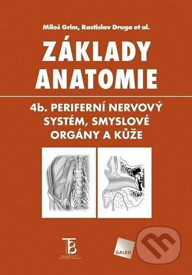 Základy anatomie 4b