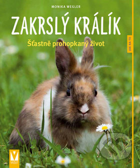Zakrslý králík (Šťastně prohopkaný život)