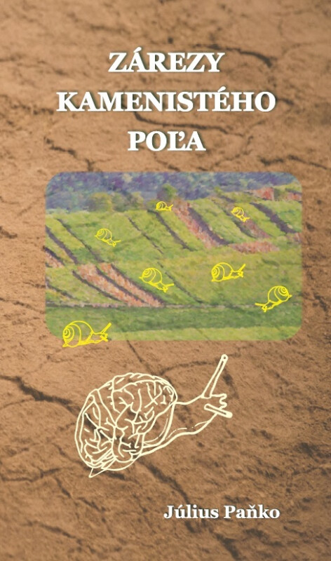 Zárezy kamenistého poľa - Július Paňko