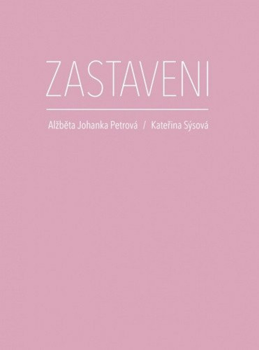 Zastaveni