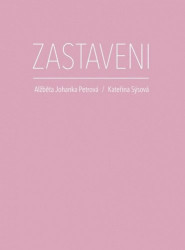 Zastaveni