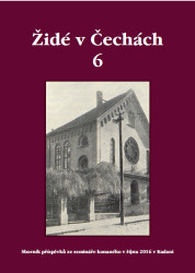 Židé v Čechách 6 - kniha z kategorie Historie
