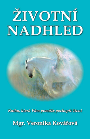 Životní nadhled - Kniha, která Vám pomůže pochopit život