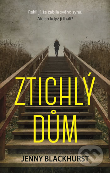 Ztichlý dům
