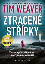 Ztracené střípky (Zmizela před pěti měsíci. Proč ji nikdo nehledá?) - kniha z kategorie Thrillery