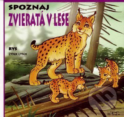 Zvieratá v lese