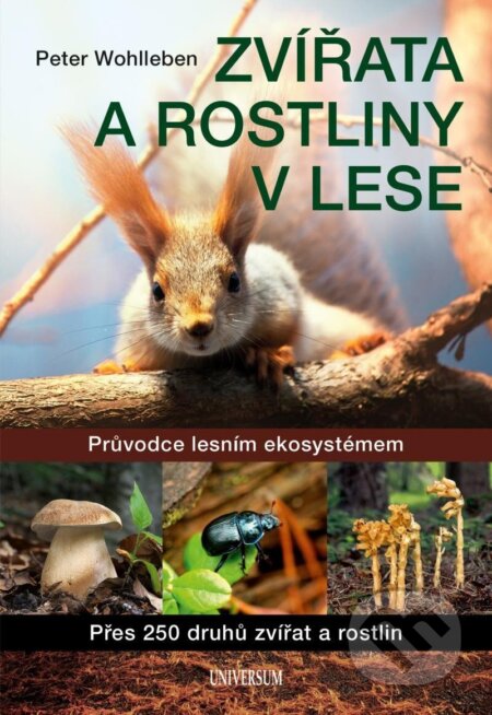Zvířata a rostliny v lese