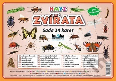 Zvířata hmyz - Sada 24 karet