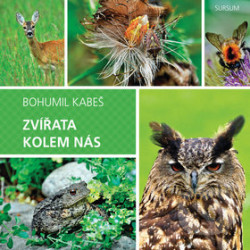 Zvířata kolem nás