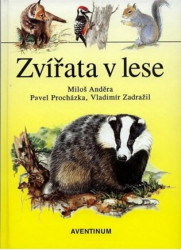 Zvířata v lese