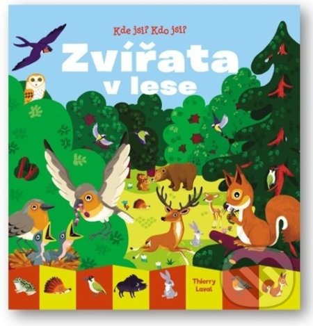Zvířata v lese