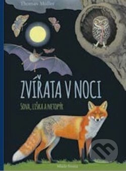 Zvířata v noci: Sova, Liška a Netopýr