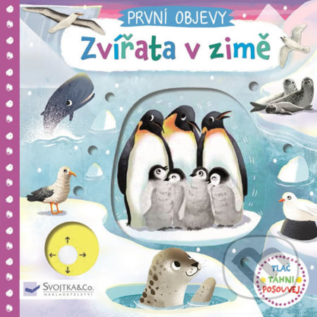 Zvířata v zimě (Tlač, táhni, posouvej)
