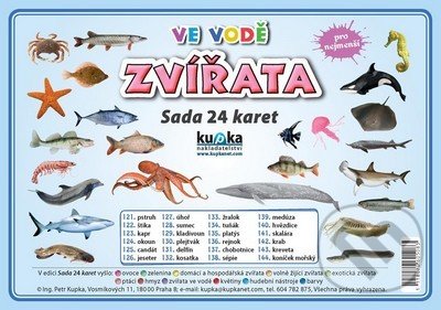 Zvířata ve vodě
